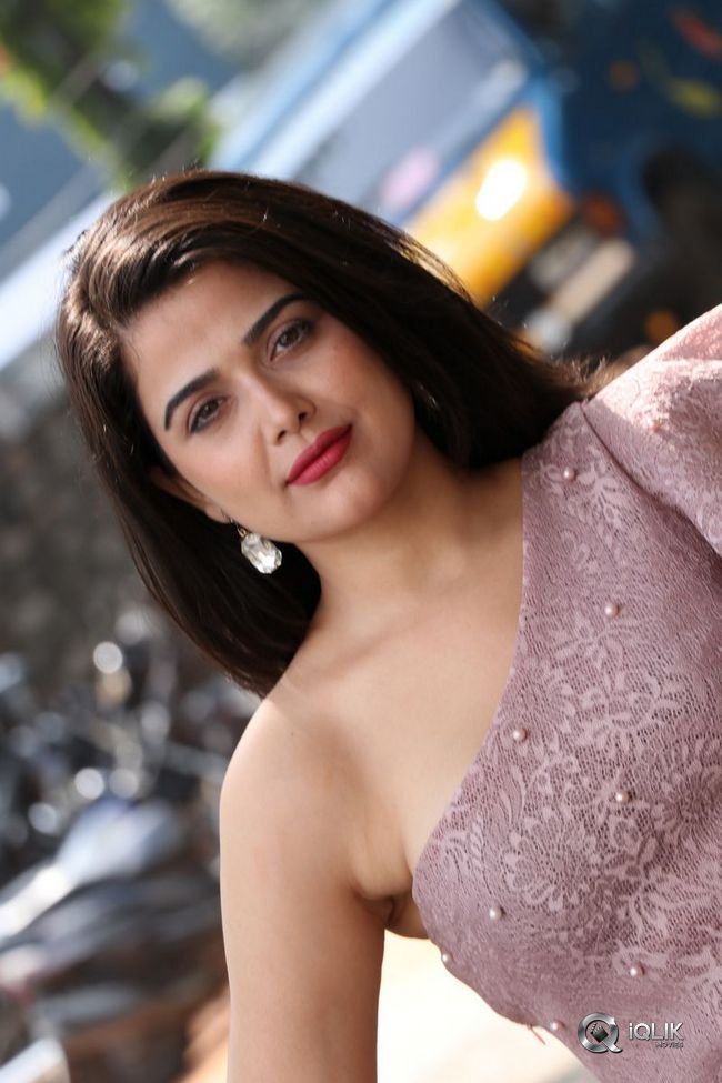 Ayesha-Singh-at-Yedu-Chepala-Katha-Movie-Prees-Meet